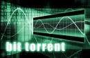 Bit Torrent