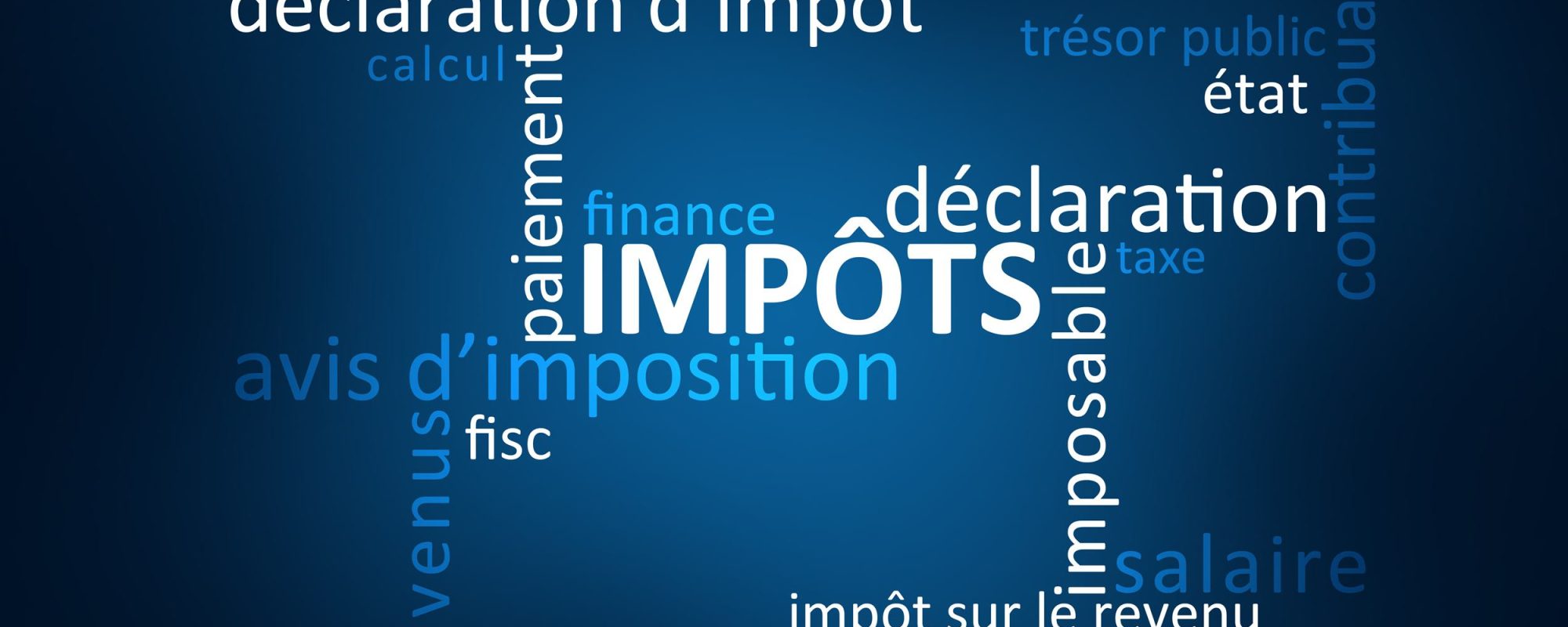 Nuage de Mots Impôts